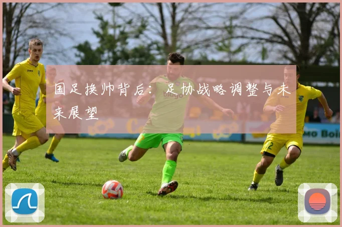 国足换帅背后:足协战略调整与未来展望